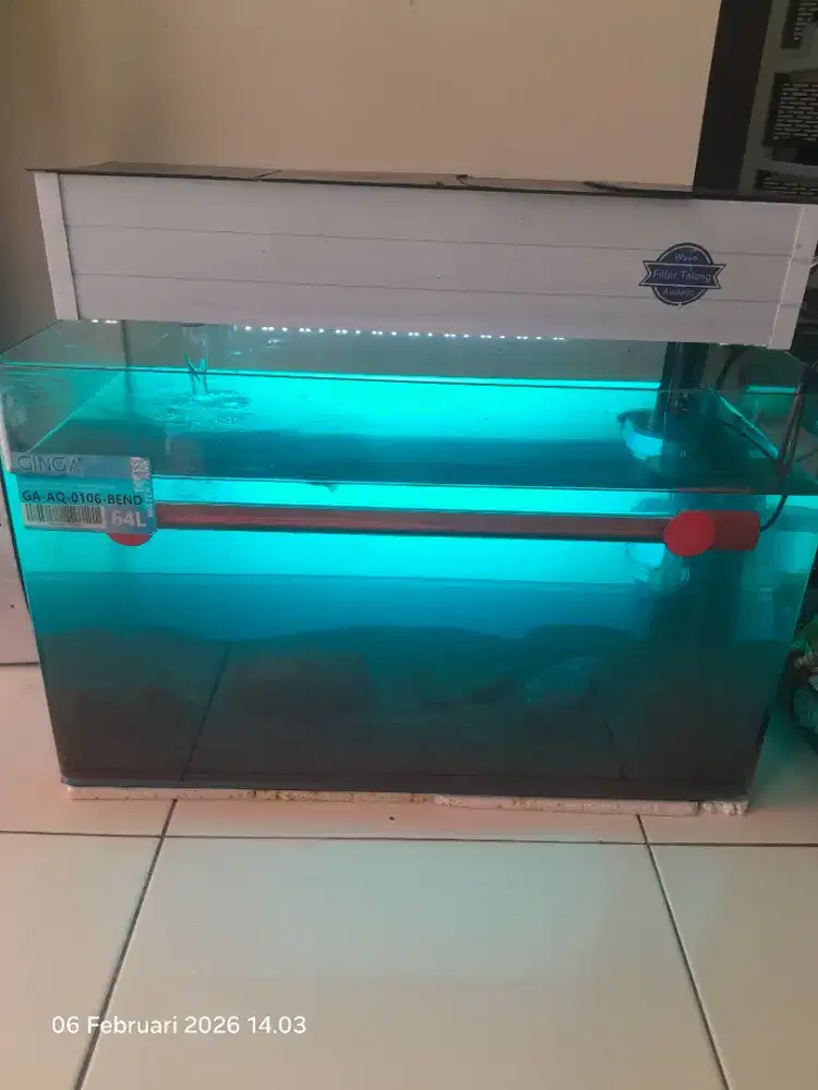 Glass water tk 64 L dan channa auranti