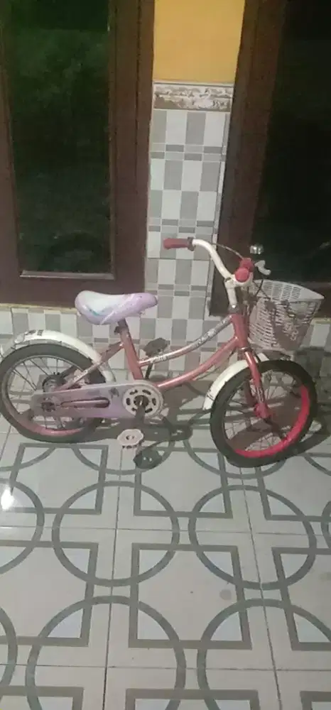 Sepeda anak  16 in 150