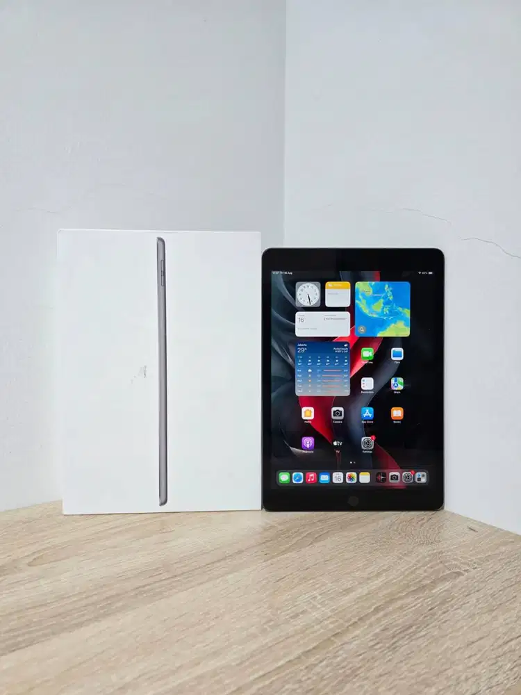 Apple iPad Mini 5 256GB 256 GB Wifi Only Space Gray 5th 2019 Minus