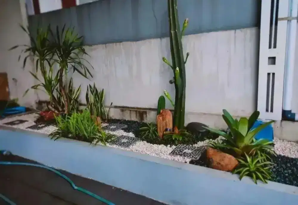 Spesialis pembuat Taman dan kolam loi