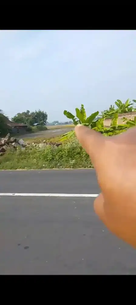 Jual tanah zona industri lokasi Masaran Sragen lt 5H hrg 1,2jt/m nego