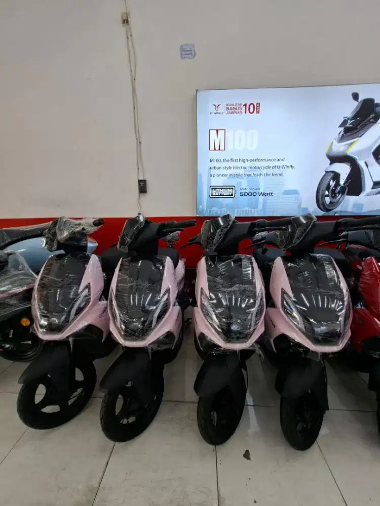 Sepeda listrik Uwinfly tipe D66a