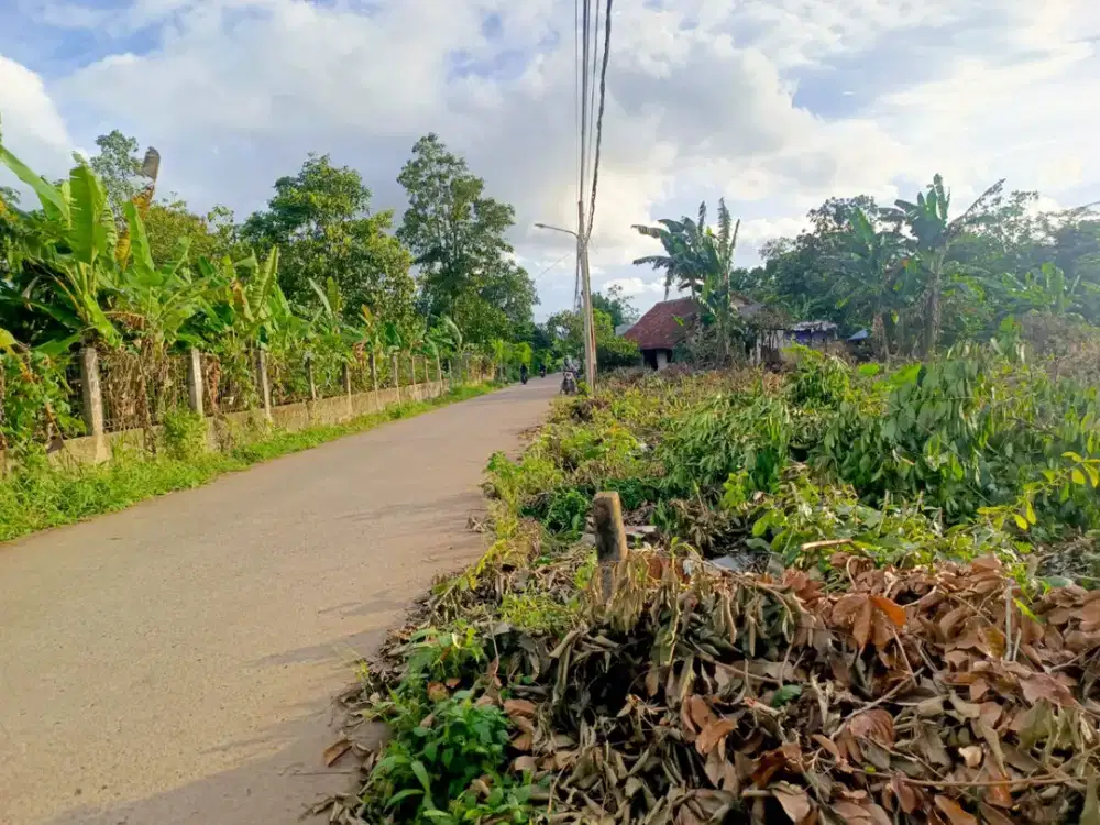 Tanah Murah Cisauk - SHM 100Jtan - Nempel Stasiun/Tol