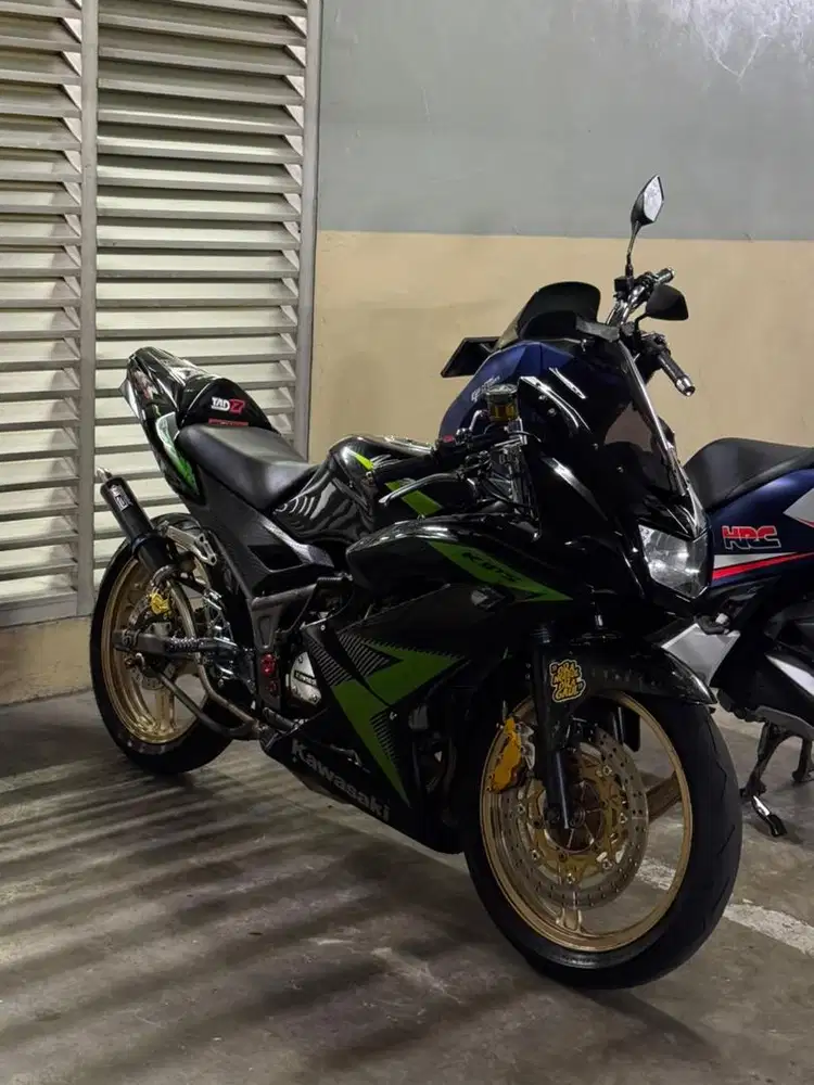 ninja 150 rr 2014