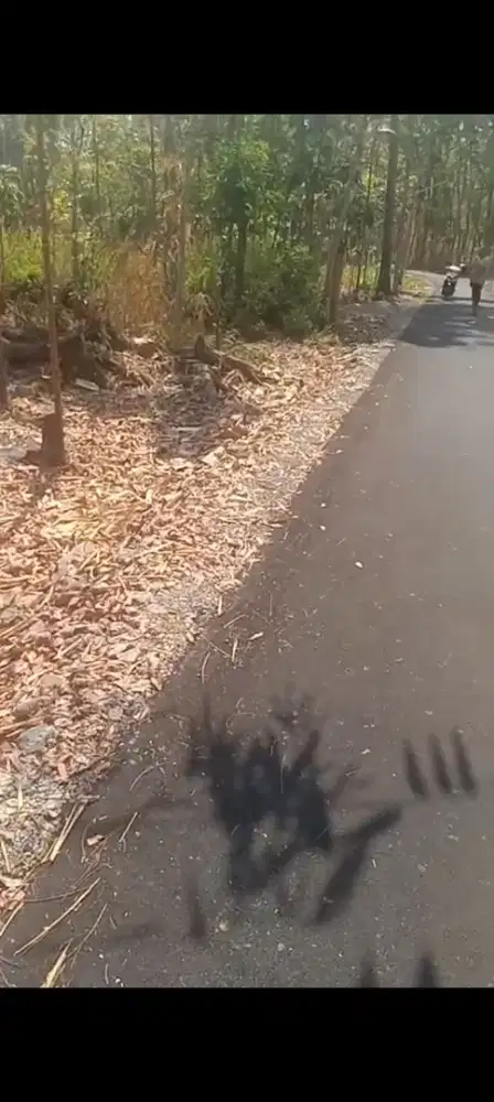 Jual tanah zona kuning lokasi grompol timur 3 pilar lt 1,1H hrg 400rb/