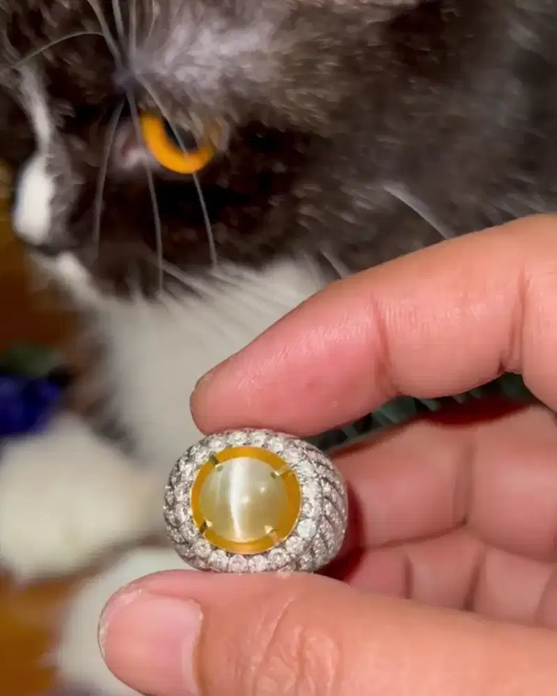 Cat's Eye Chrysoberyl Ring Emas Berlian