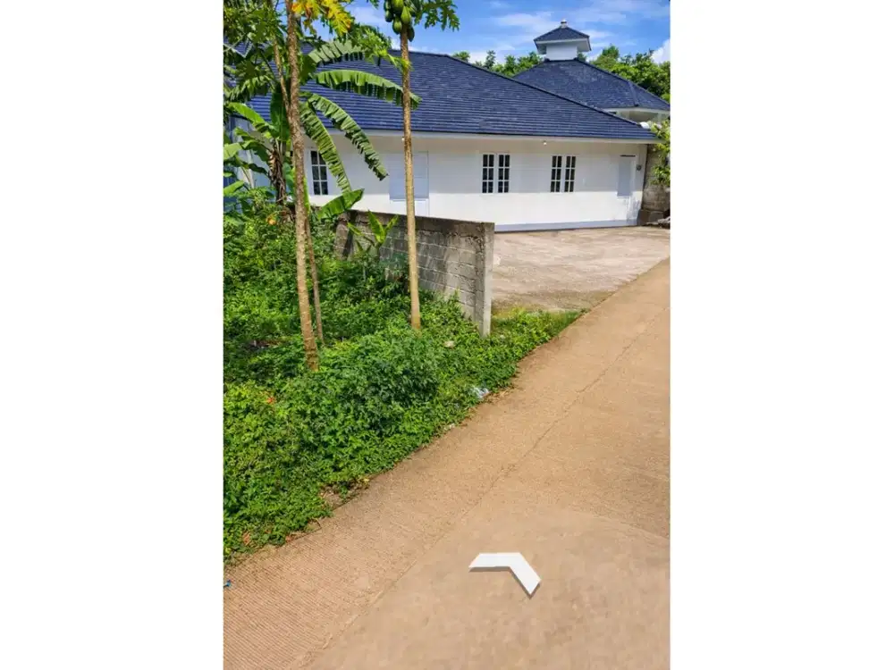 Di jual tanah pinggir jalan cocok buat bikin kebun atau kosan