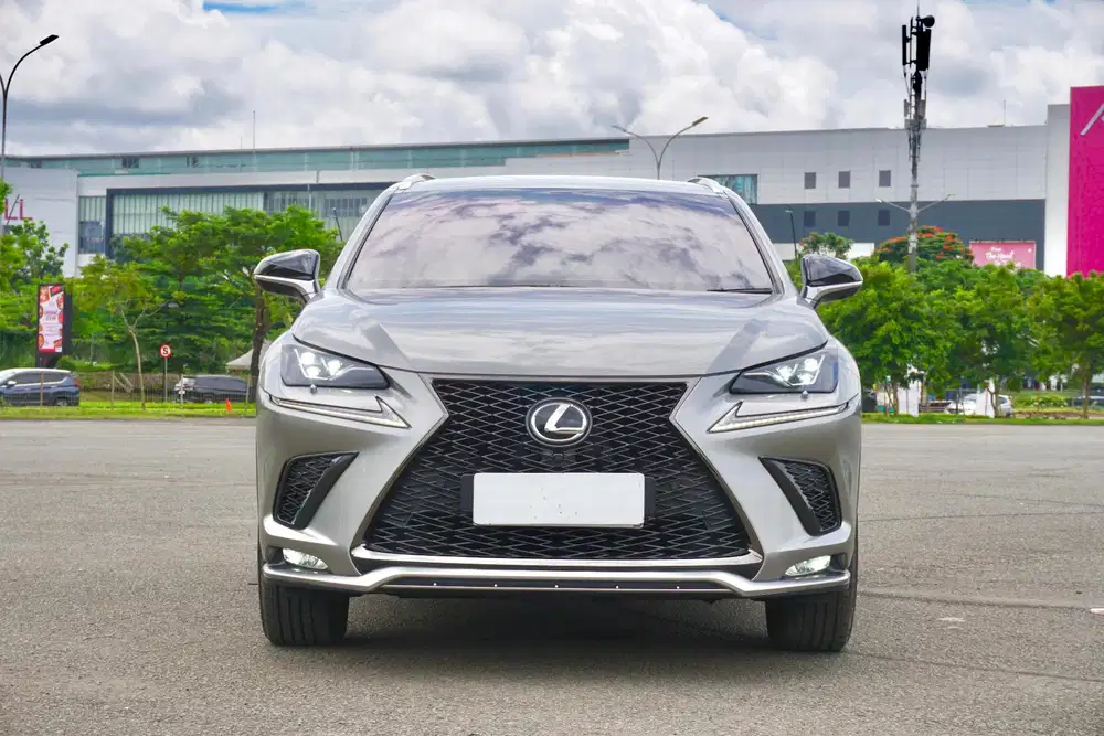 Lexus NX300 
F-Sport 2.0T 2019