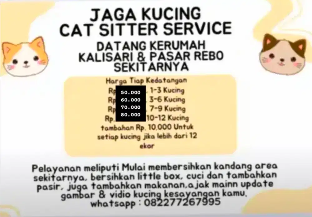 Catsitter Jika kak pergi saya siap merawat kucing kak