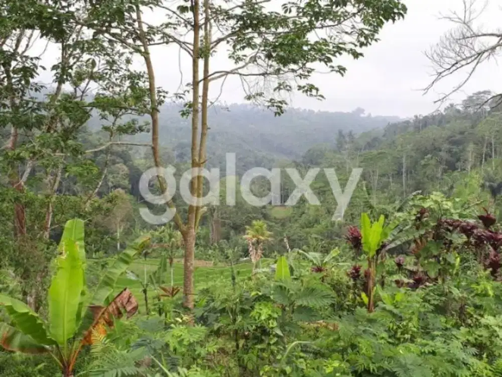 TANAH VIEW ALAM DAN AREA WISATA. BANJAR PAUSAN DESA BUAHAN KAJA PAYANGAN GIANYAR, BALI