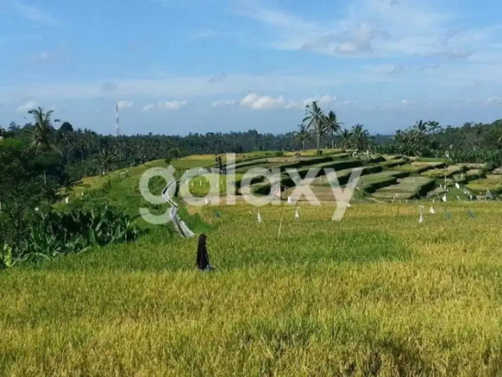 TANAH ZONA PARIWISATA DI PAYANGAN GIANYAR, BALI