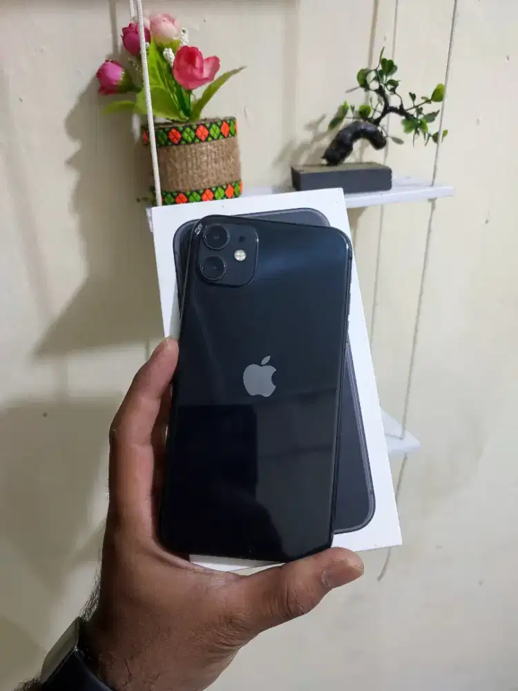 IPHONE 11 256GB IBOX TERMURAAAH