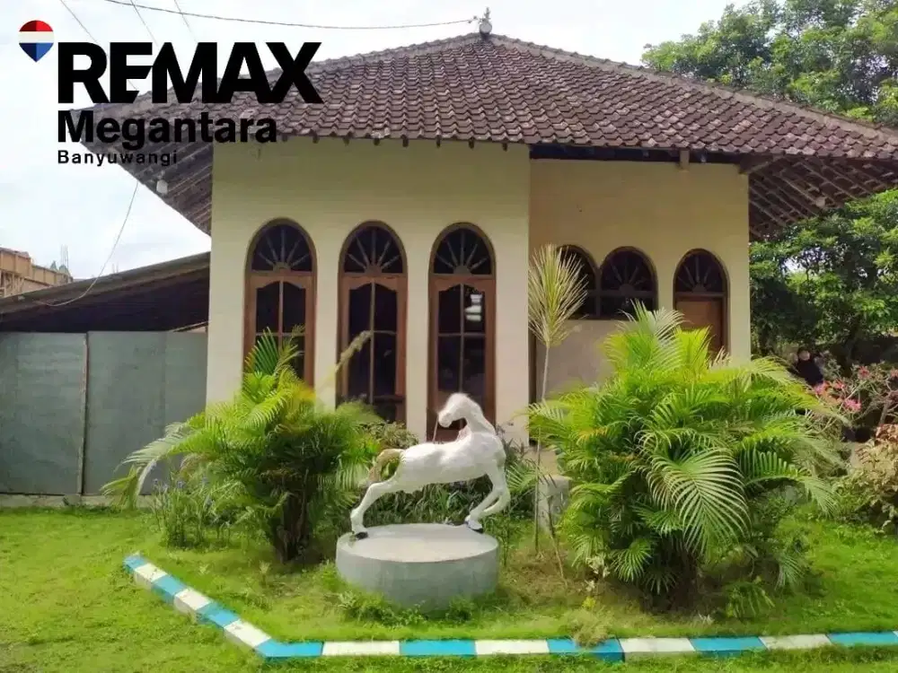 DIJUAL TANAH STRATEGIS – BONUS BANGUNAN SRONO MUNCAR BANYUWANGI