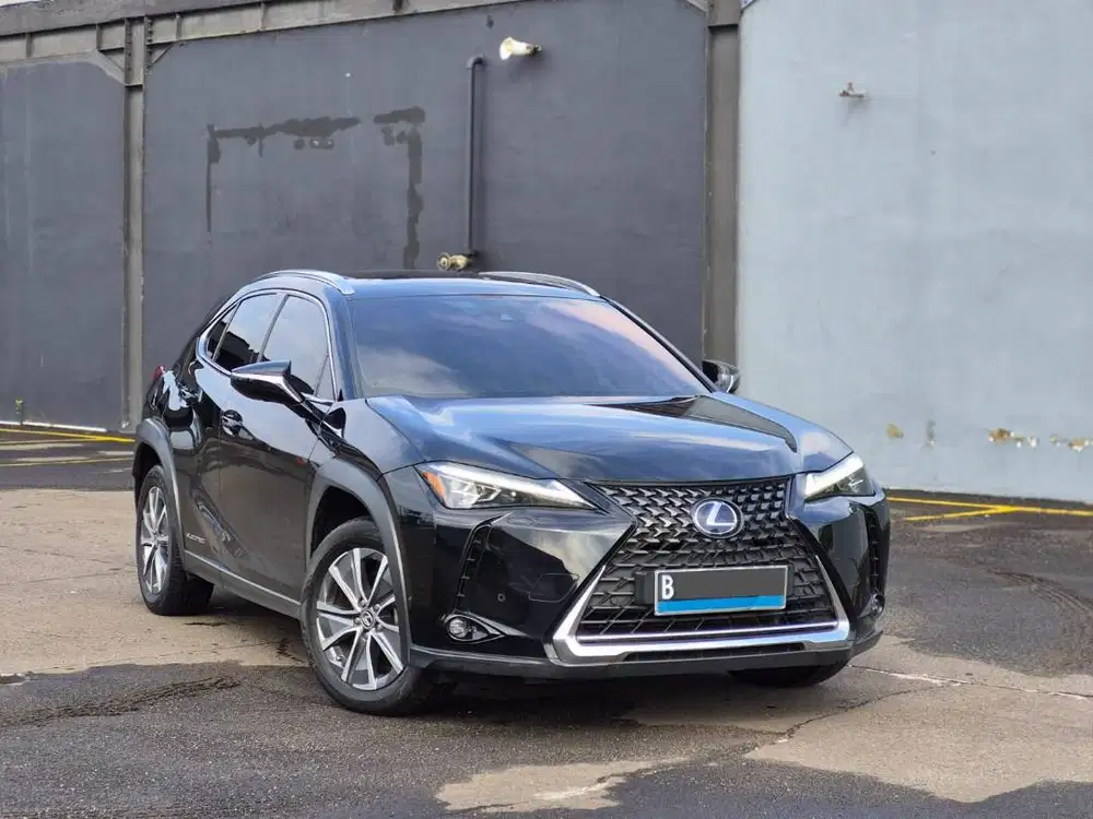 Lexus UX 300e 2022 Black on Black