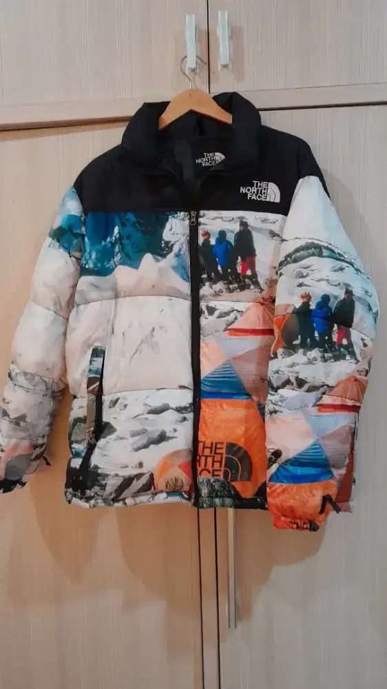 Jaket winter the north face