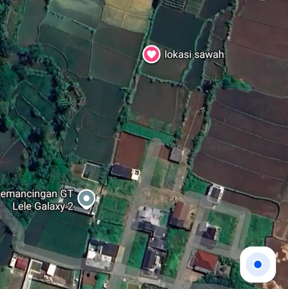 Di Jual Tanah Sawah Dekat Perumahan