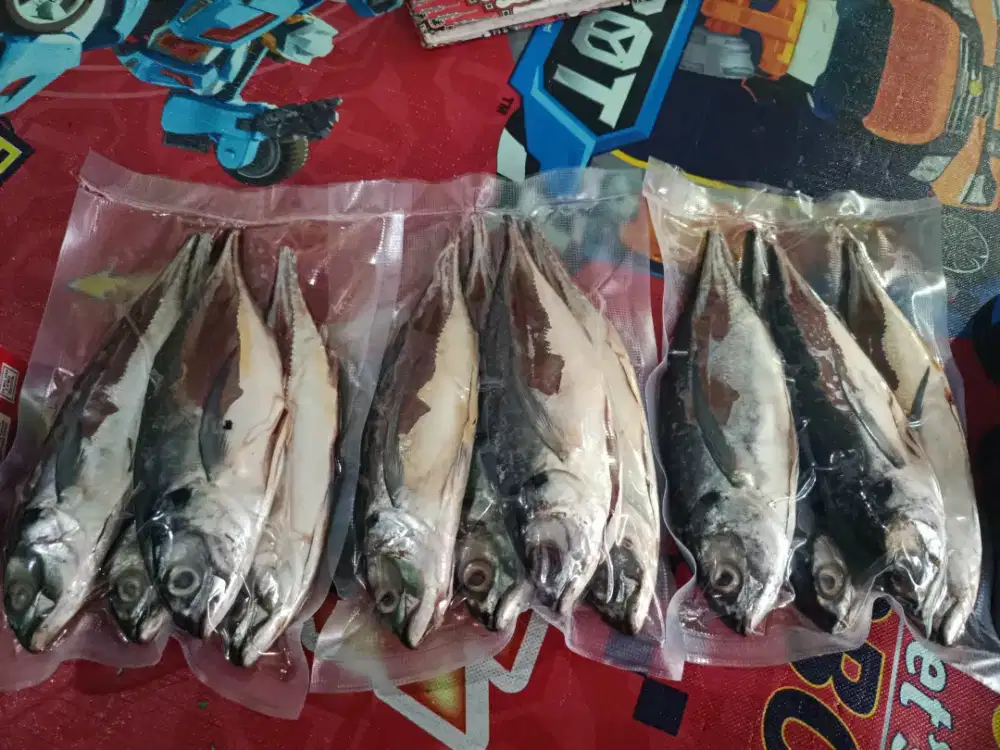 Jasa Bersih Ikan Warung Makan | Cepat & Rapi | 3rb/kg