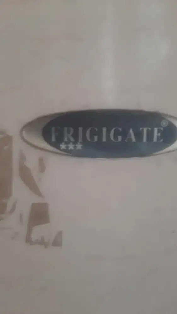 Frizer 200 liter, nego