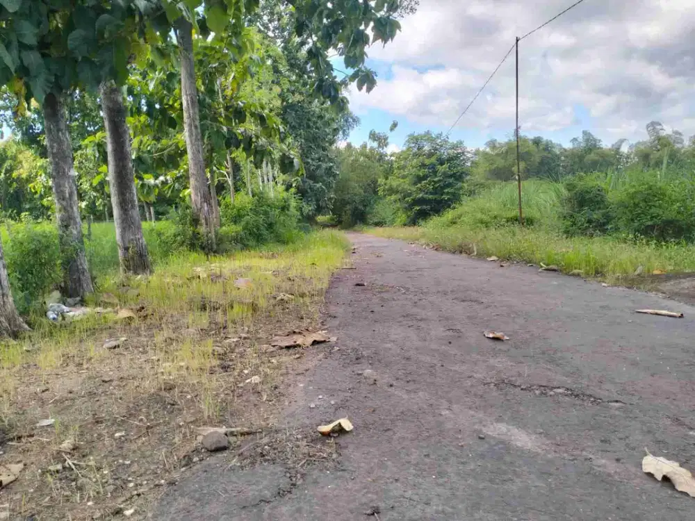 Dijual Tanah Sawah Dekat Jalan Aspal Utama Pilangrejo Wungu Kabupaten Madiun