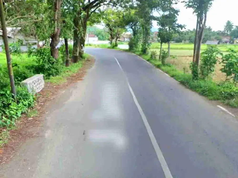 Dijual tanah di Pakusari Jember