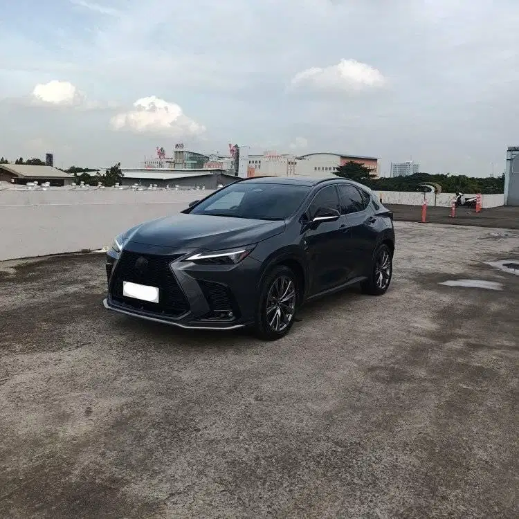 2023 Lexus NX350h Hybrid F-Sport New Model KM 23000