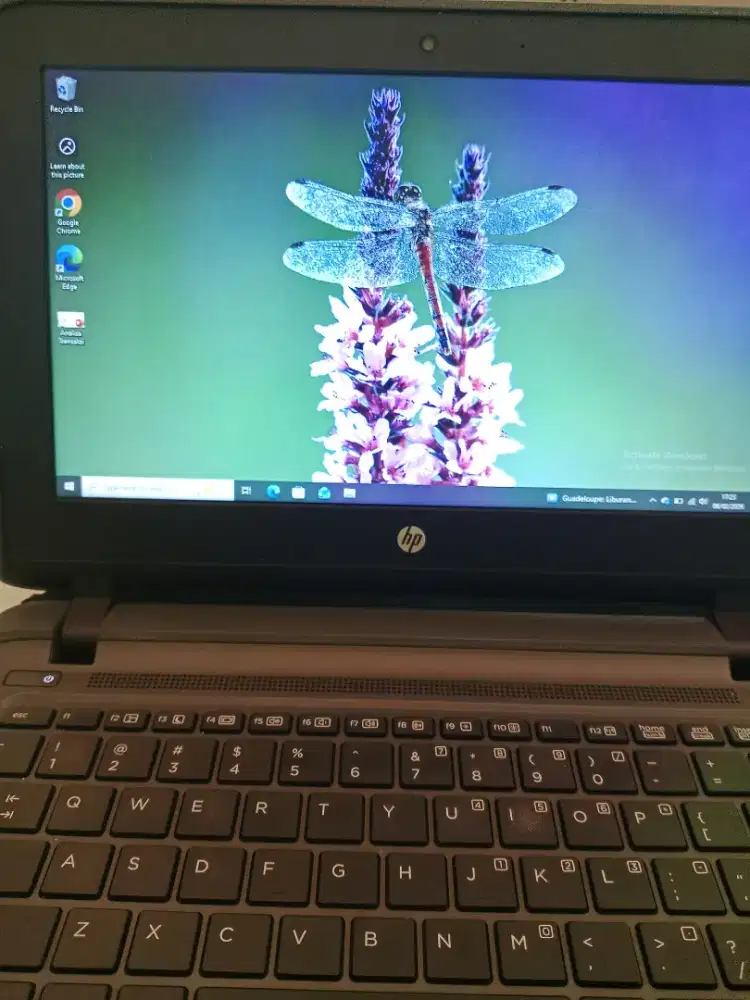 Laptop Hp Probook 11 G2