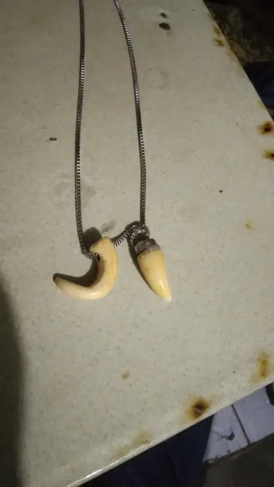 Cakar dan gigi macan