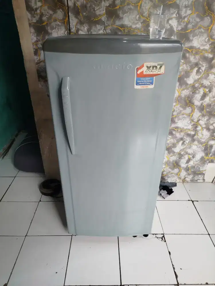 1 pintu kulkas GLACIO