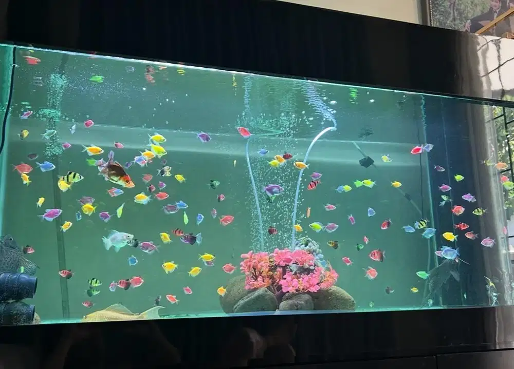 Jual akuarium aquarium bekas murah full kabinet