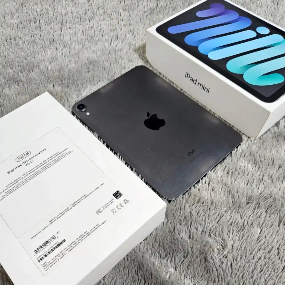 Ipad Mini 6 256Gb Grey mulus no dent