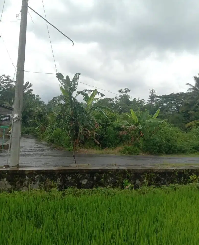 Dijual Tanah Perkarangan