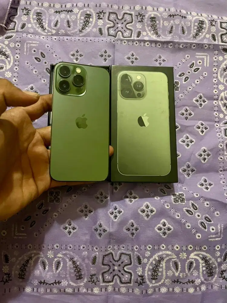 iphone 13 pro 128 gb warna alpine green
