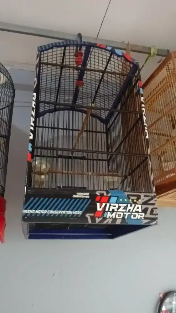 Kandang burung bekas masih kokoh