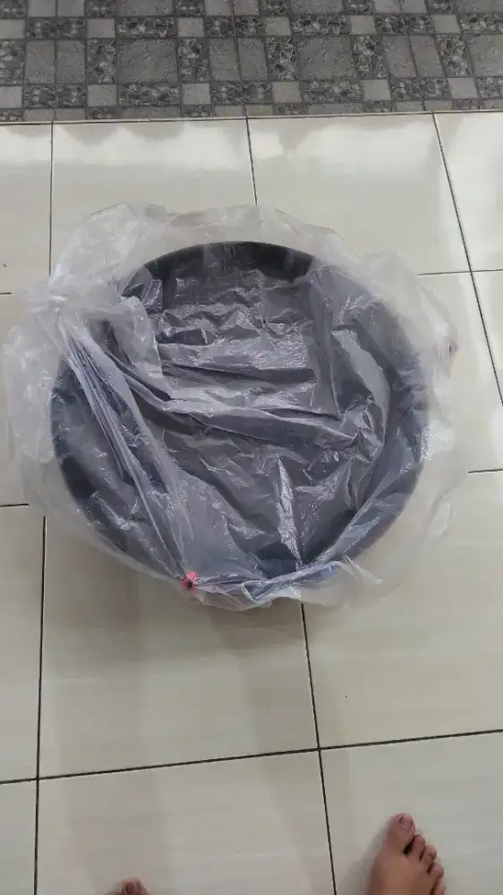 Jual kadang murai, umbaran dan lordbird