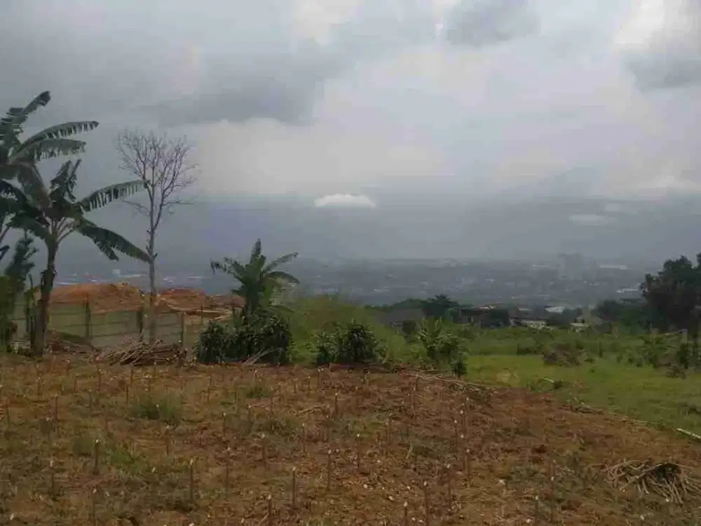 DIJUAL CEPAT & MURAH TANAH BELAKANG CITRA LAND SENTUL SUDAH ADA VILLA DISAMPING TANAH INI DAN SEKOLAH BERIKUT CAFFE2.. LOKASI NEMPEL JALAN ASPAL BESAR DAN PASTINYA VIEUW PERKOTAAN DAN GUNUNG...LUAS KURANG LEBIH SATU HEKTAR.