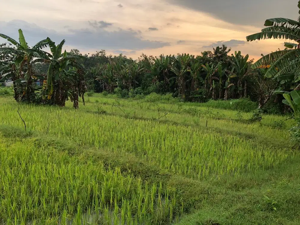 Jual tanah lokasi strategis dekat perumahan & exit tol gondangrejo