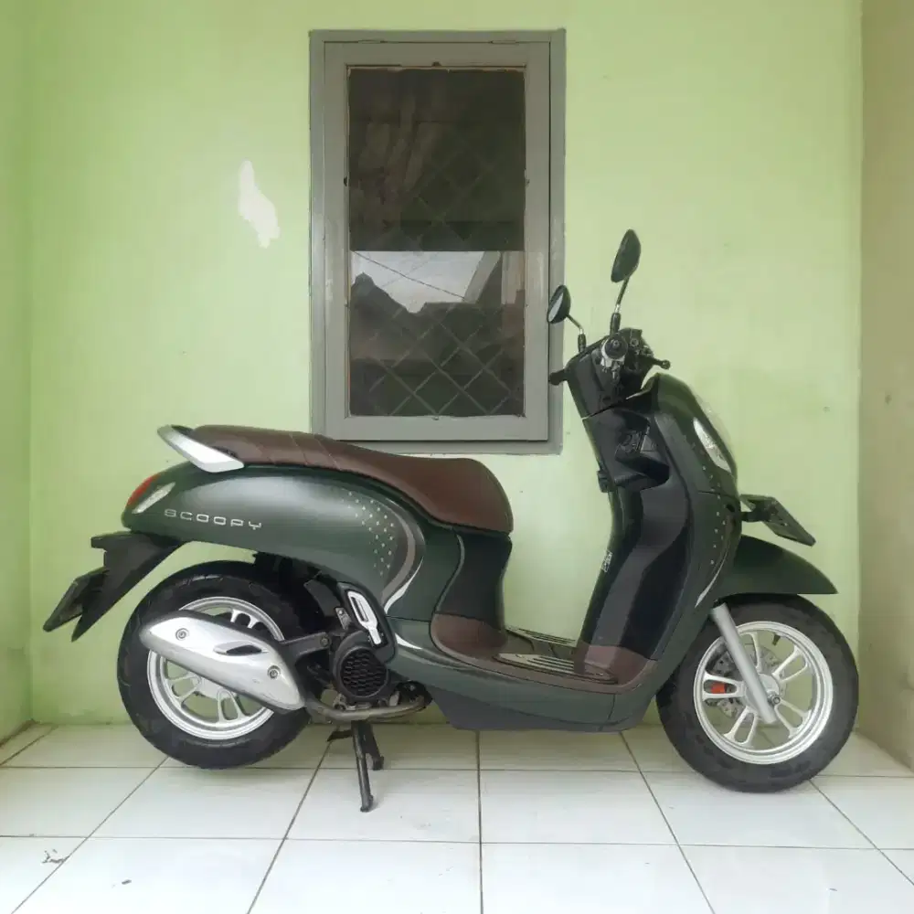 Scoopy Stylish 2024