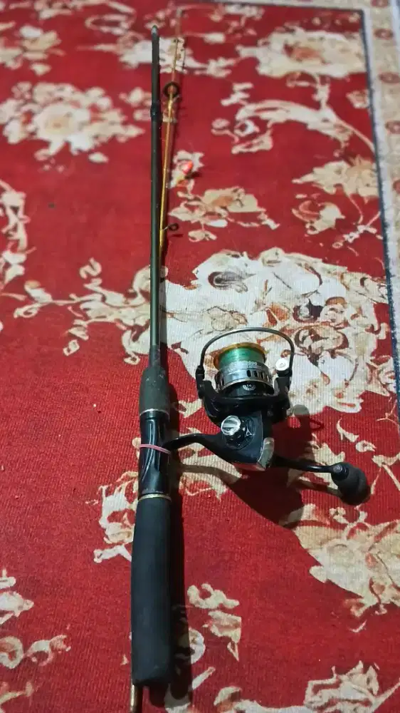 Jual aja joran siap pakai