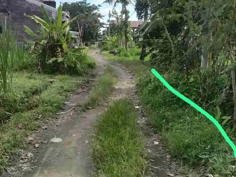 Tanah sawah murah hanya 25 meter dari jalan utama stadion maguwoharjo