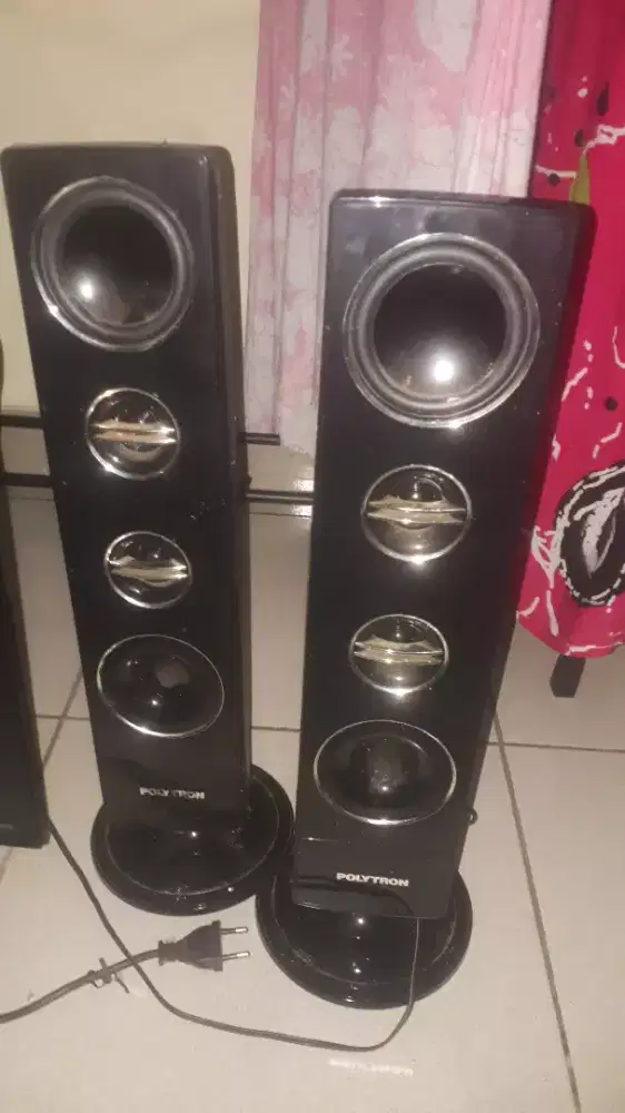 Polytron speker