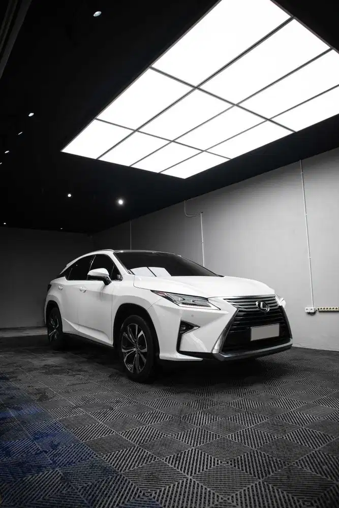 LEXUS RX 300 (2019)