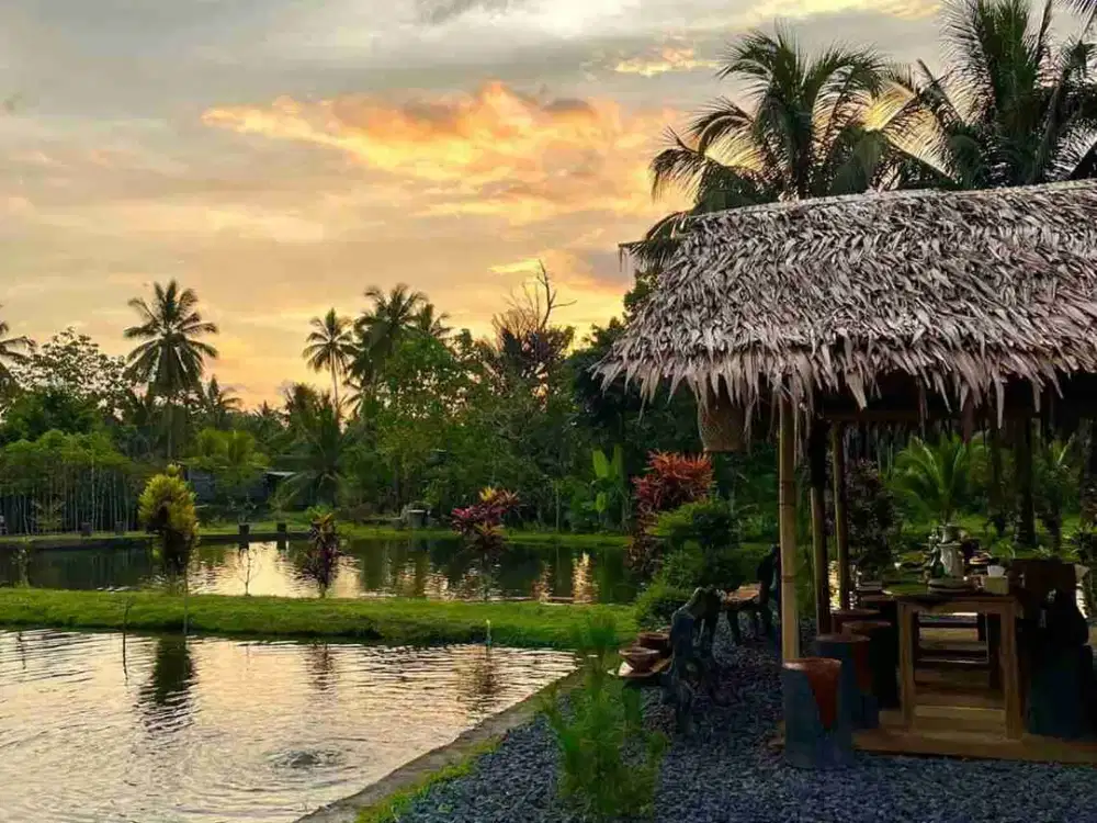 DIJUAL CEPAT TANAH TELAGA CANTIK DAERAH MATUNGKAS, HARGA SANGAT MURAH