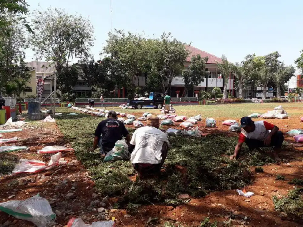 Jasa pengerjaan lapangan sepak bola