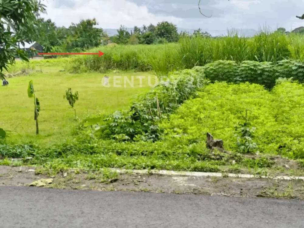 Tanah Sawah 1358m2 Di Potorono Untuk Investasi Jangka Panjang