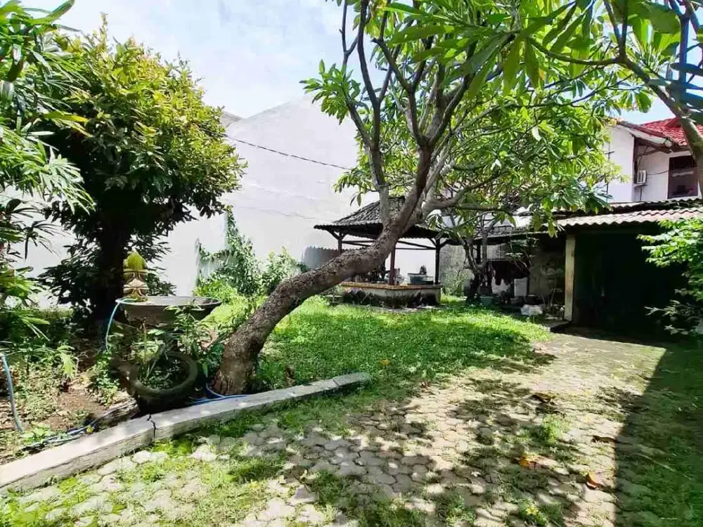 LANGKA! JUAL TANAH KAVLING SUTOREJO COCOK UNTUK INVESTOR