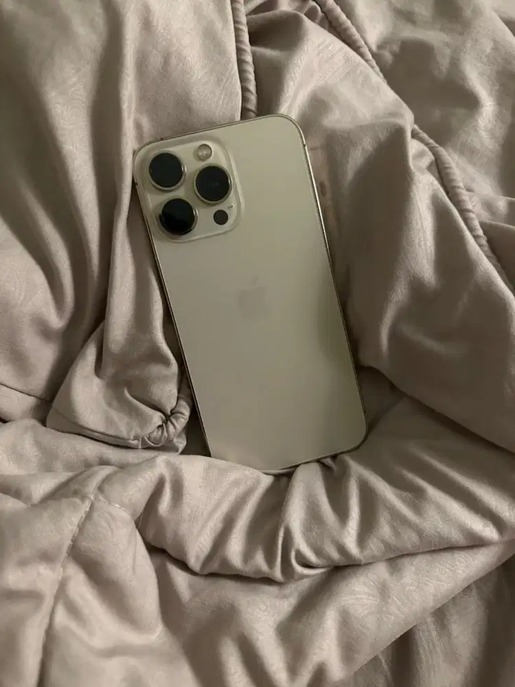 iphone 13 pro 256gb ex inter LL/A