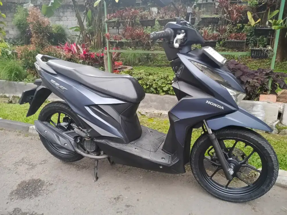 Beat Deluxe 2023 orsinil