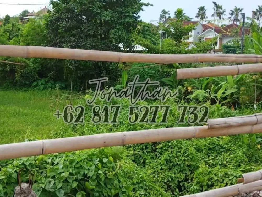 Dijual Tanah Kecil Langka Lingkungan Villa Mewah Tegal Cupek Umalas - LSAA