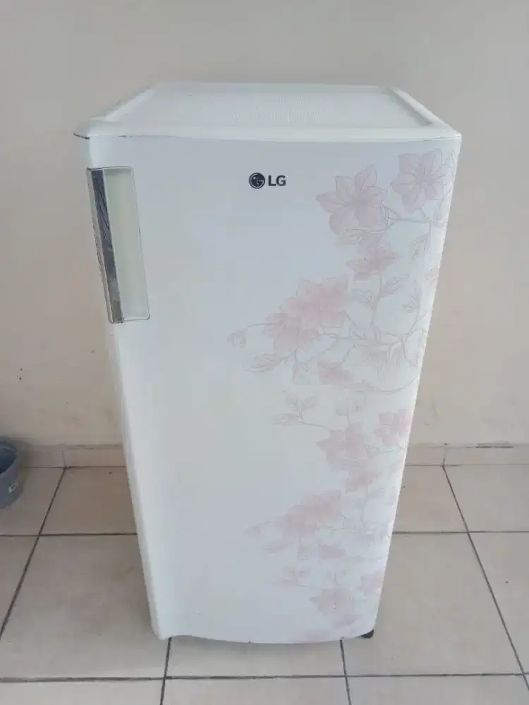 KULKAS LG 1 PINTU NORMAL RAK LENGKAP