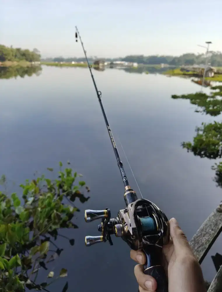 Set Joran Daido Predator BC / Casting